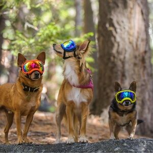 Rex Specs Small Neon Blue w/ 3 lenses